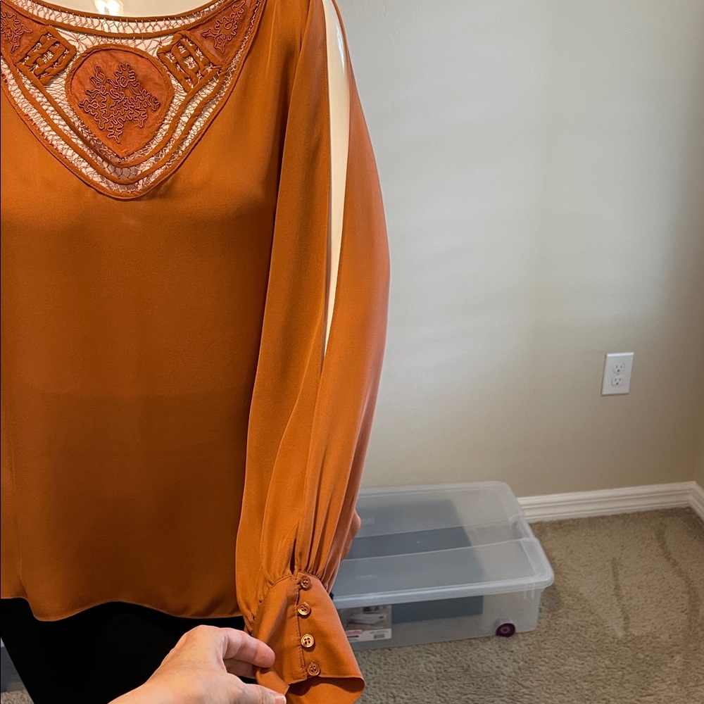 Haute Hippie Bronze Silk Chiffon Top Dolmam Sleeves Deep Embellished V-Neck M EC - Picture 8 of 15